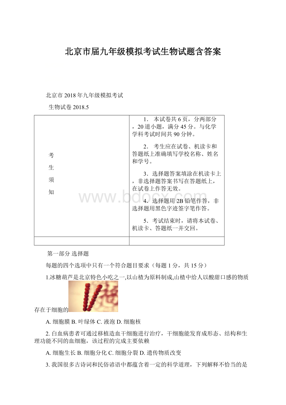 北京市届九年级模拟考试生物试题含答案文档格式.docx