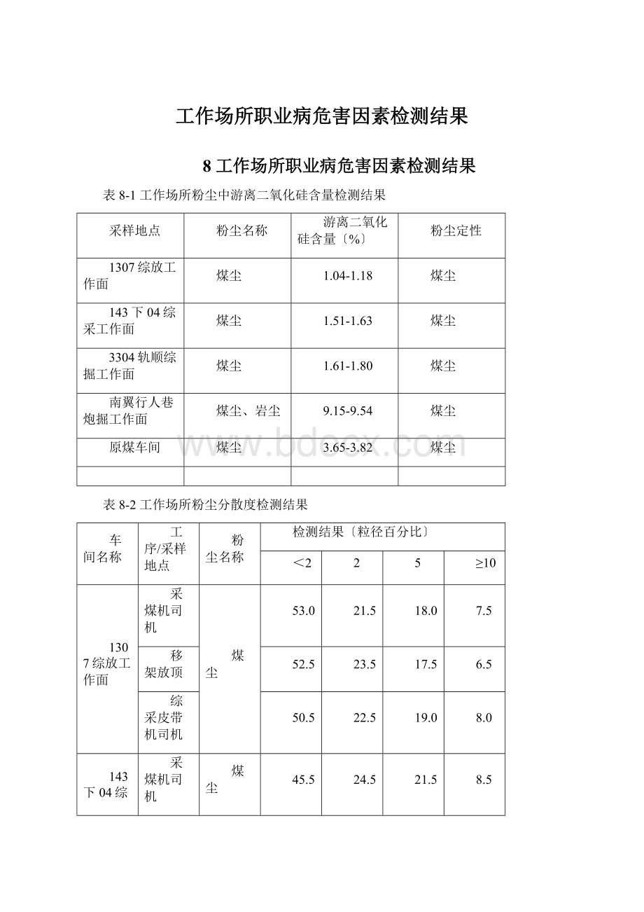 工作场所职业病危害因素检测结果Word格式文档下载.docx