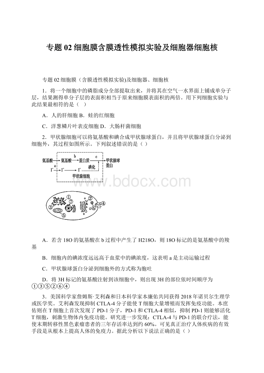 专题02细胞膜含膜透性模拟实验及细胞器细胞核.docx