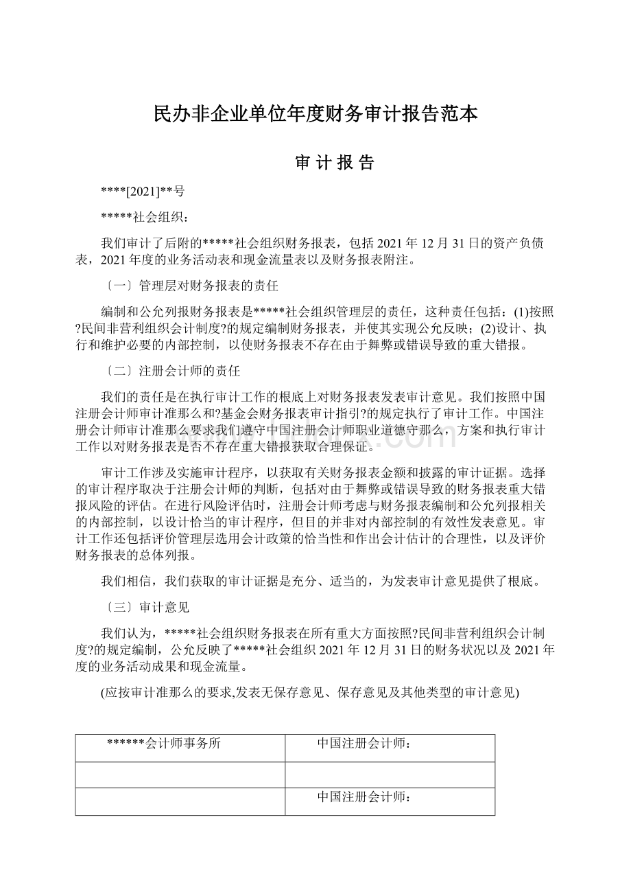 民办非企业单位年度财务审计报告范本Word格式.docx_第1页