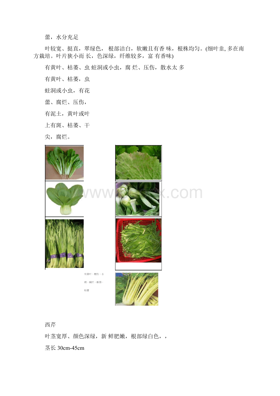 蔬菜验收标准图片版Word格式文档下载.docx_第3页