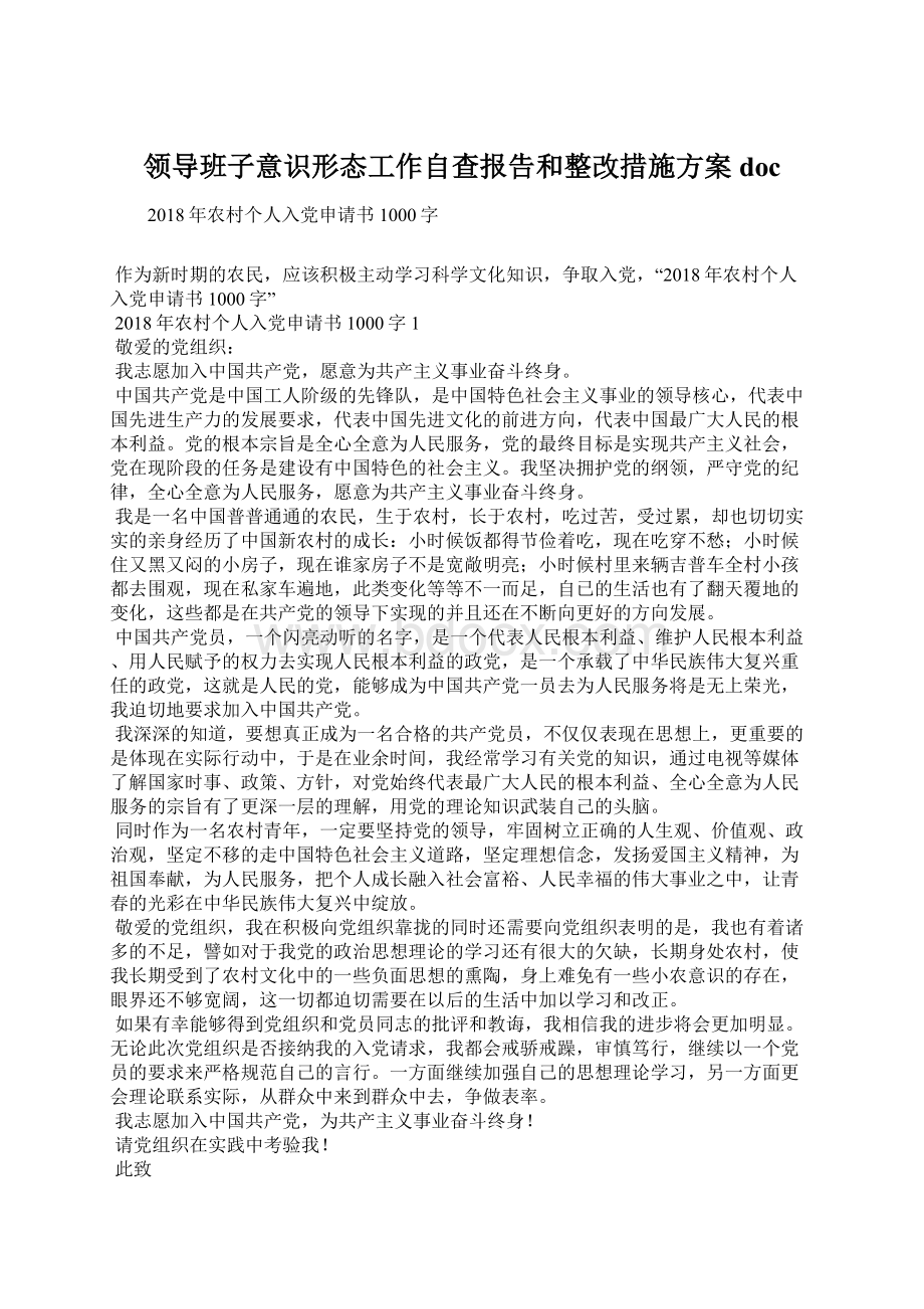 领导班子意识形态工作自查报告和整改措施方案docWord文档下载推荐.docx