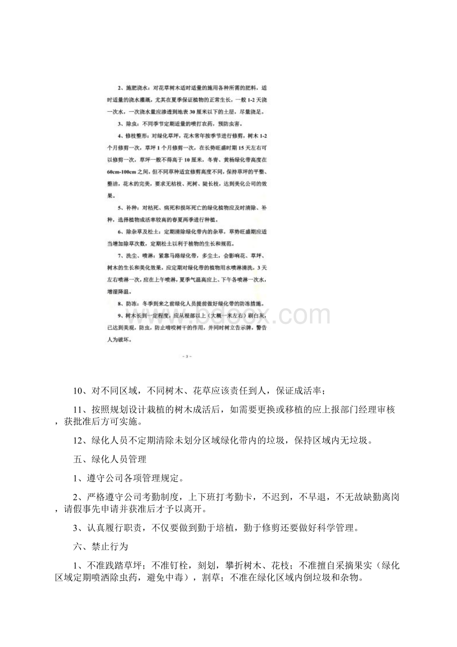 厂区绿化标准及管理措施Word下载.docx_第2页