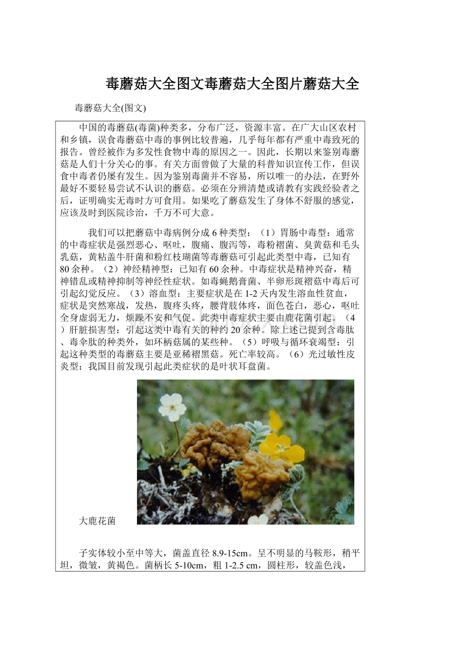 毒蘑菇大全图文毒蘑菇大全图片蘑菇大全.docx_第1页