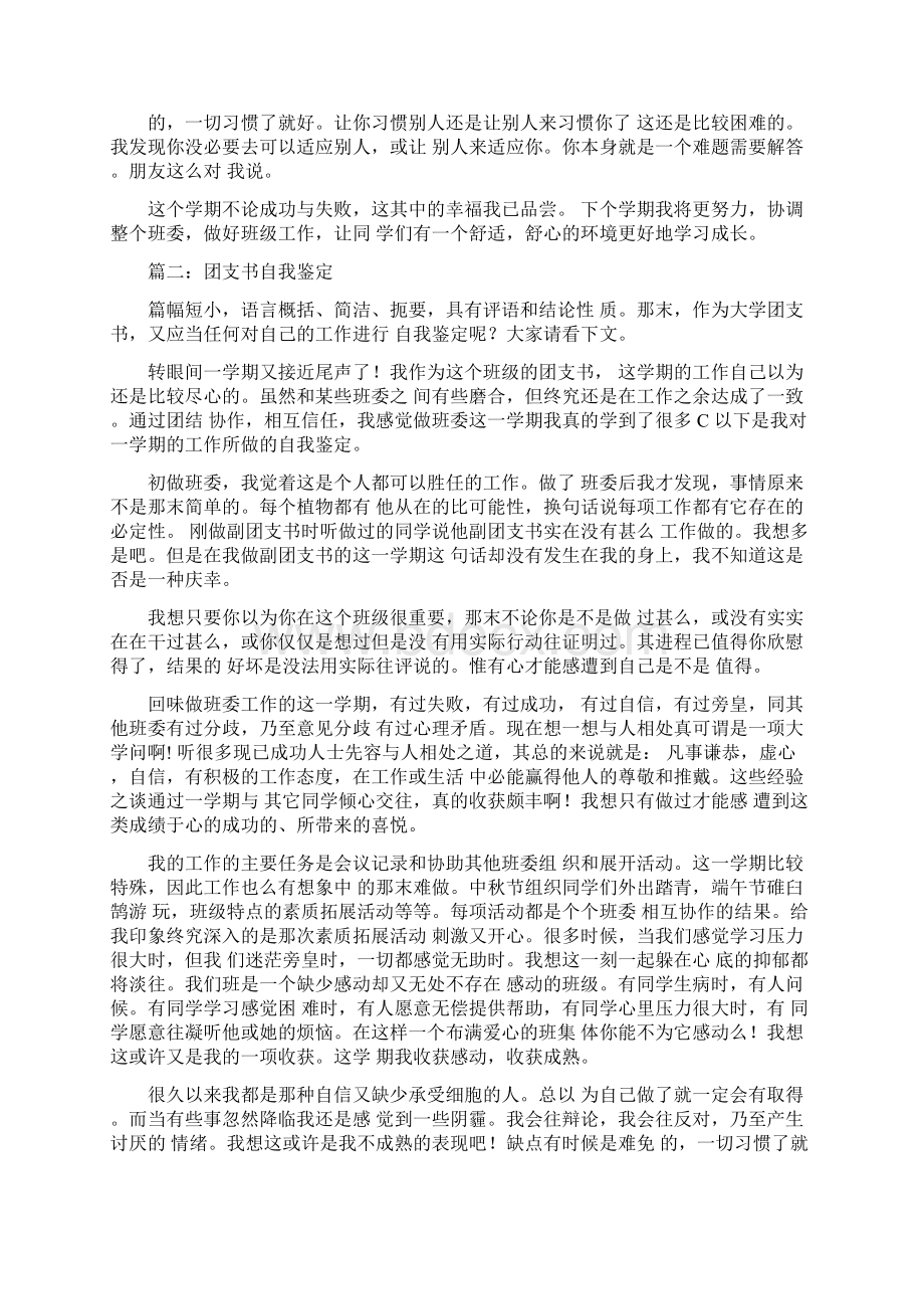 团支书自我鉴定Word格式.docx_第2页