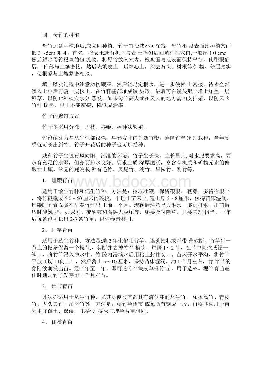 北方如何种植竹子的管制方法.docx_第3页