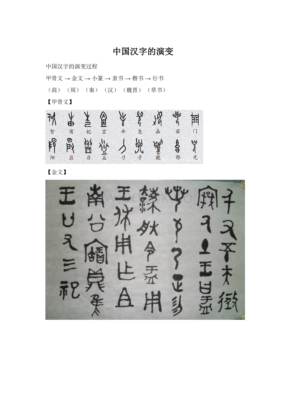 中国汉字的演变.docx_第1页