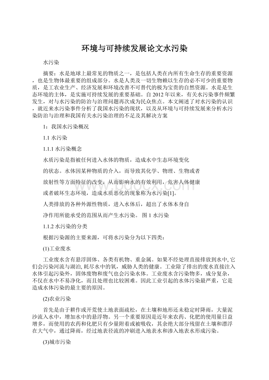 环境与可持续发展论文水污染.docx_第1页