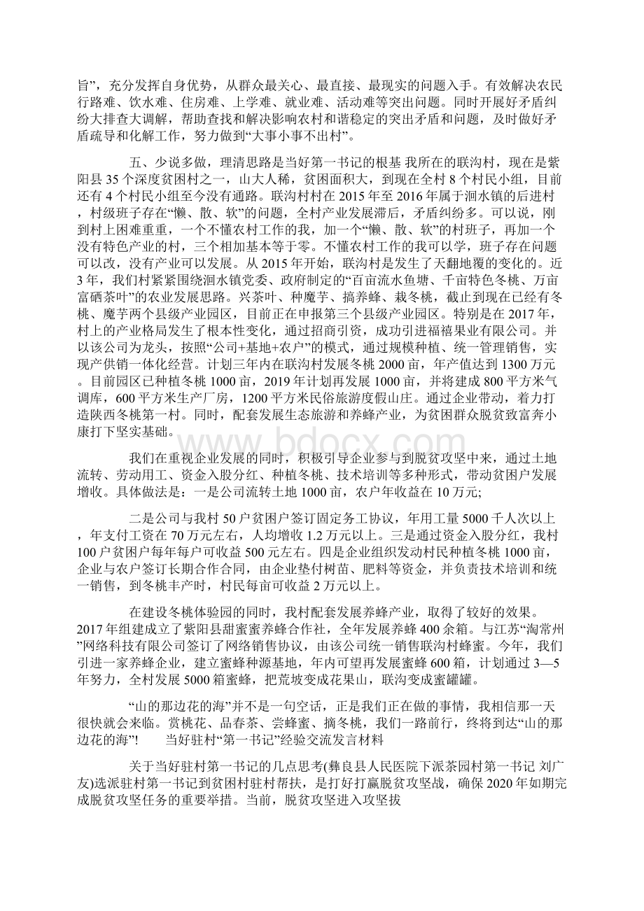 当好驻村第一书记经验交流发言材料.docx_第2页