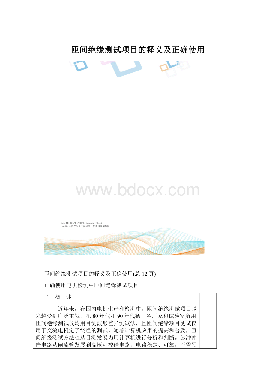 匝间绝缘测试项目的释义及正确使用文档格式.docx