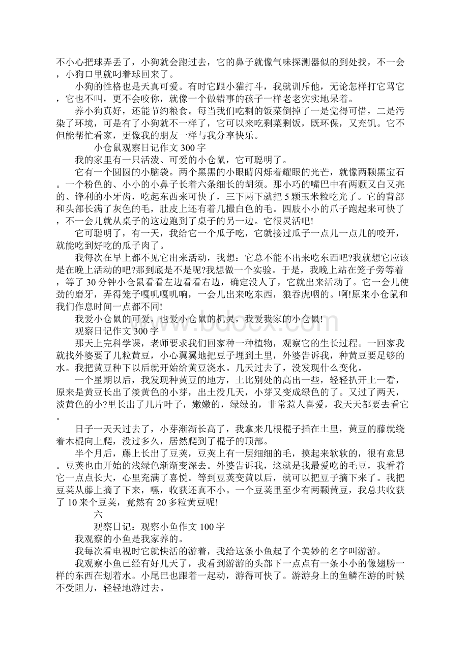 小狗的日记300字.docx_第3页