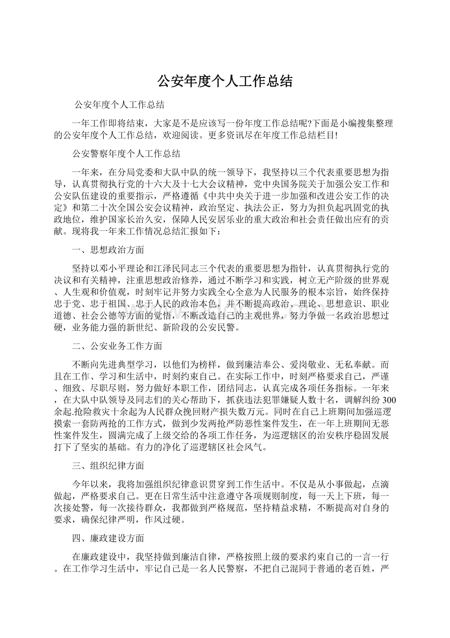 公安年度个人工作总结文档格式.docx_第1页