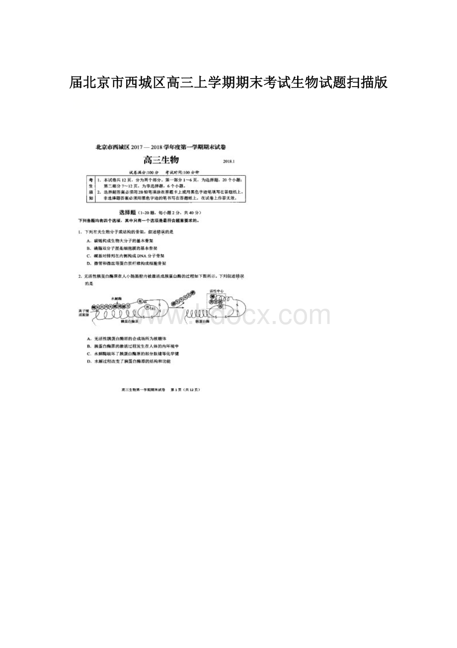 届北京市西城区高三上学期期末考试生物试题扫描版.docx_第1页