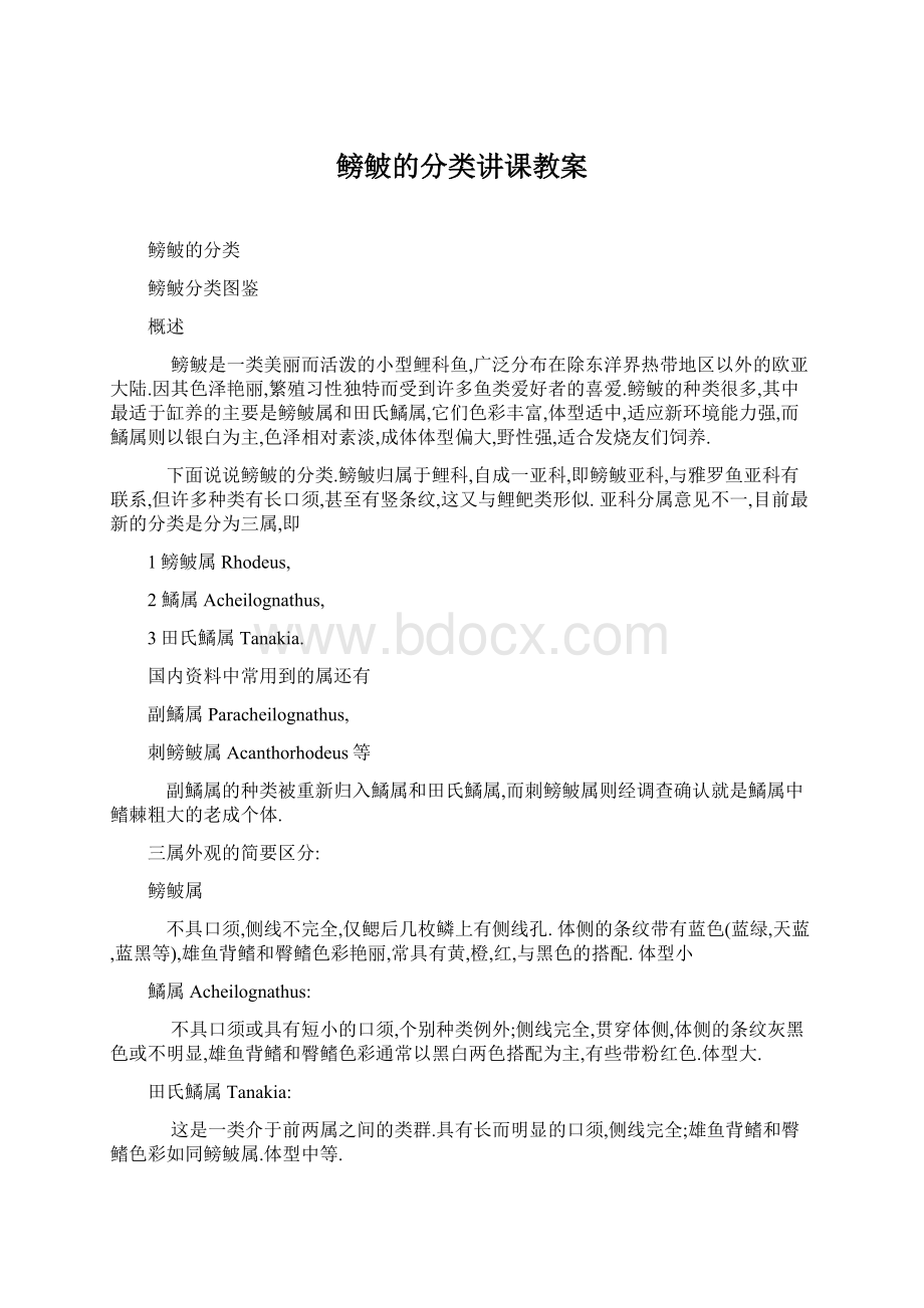 鳑鲏的分类讲课教案Word格式.docx