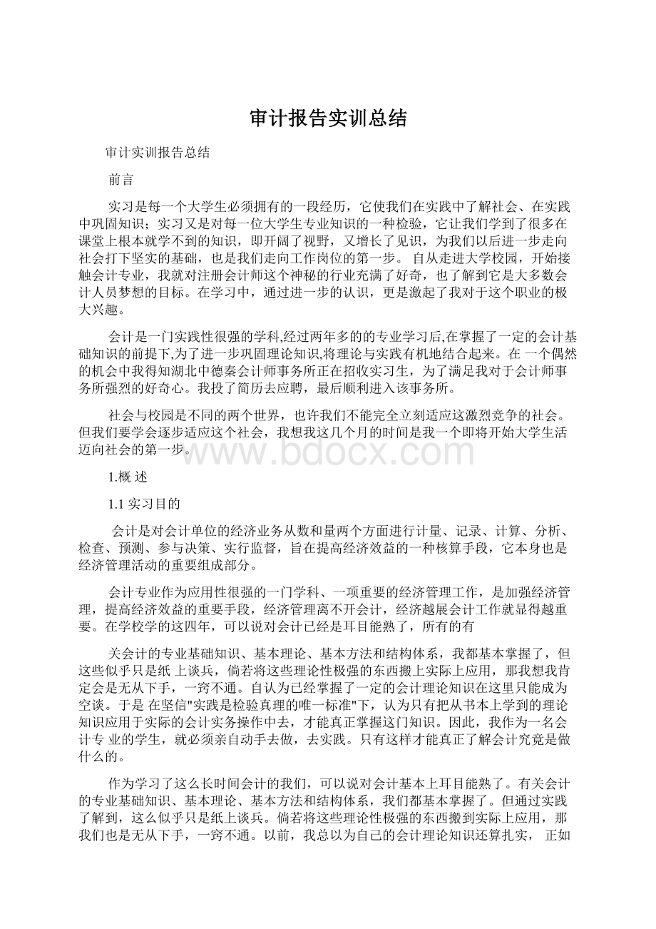 审计报告实训总结.docx