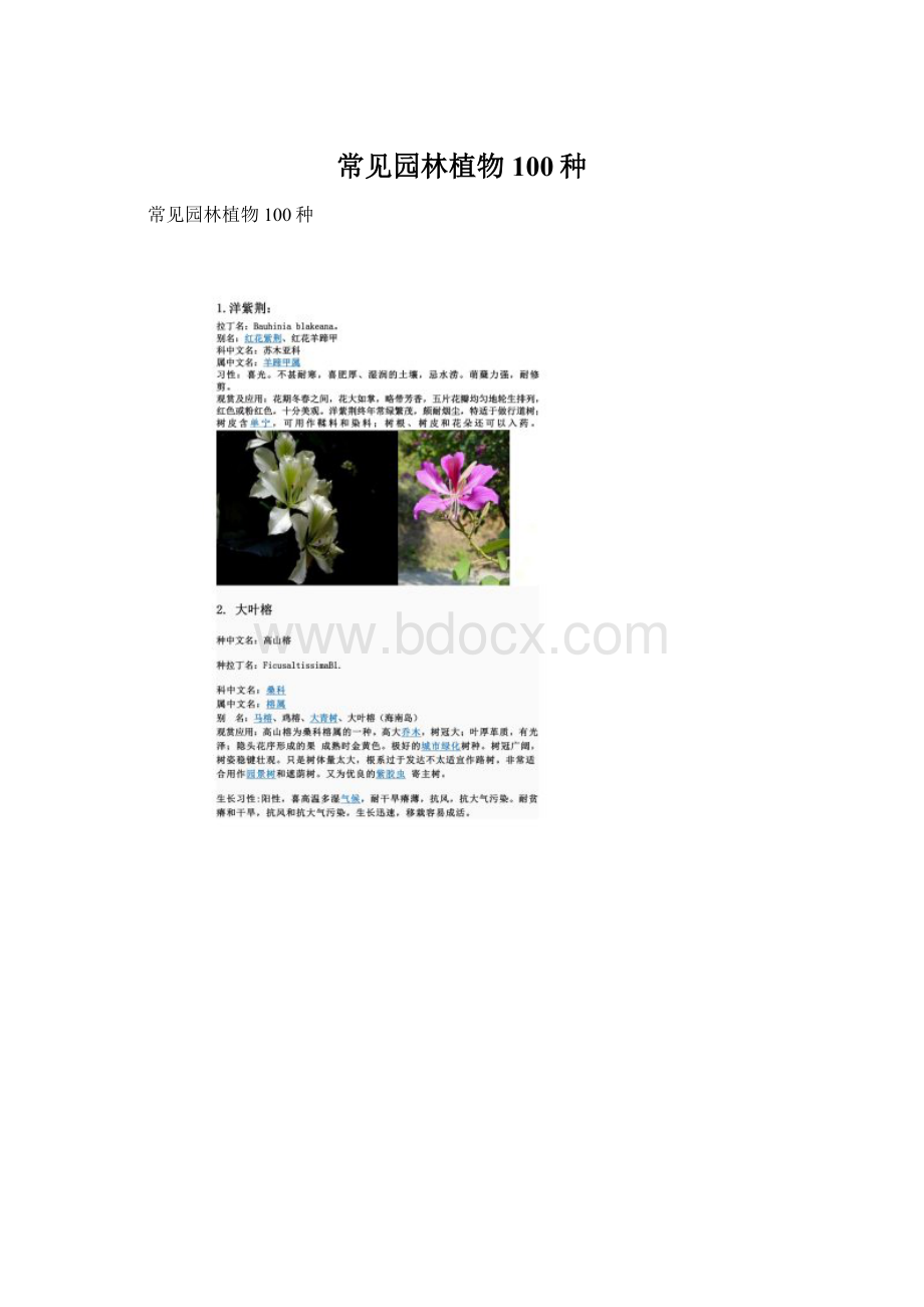 常见园林植物100种.docx_第1页