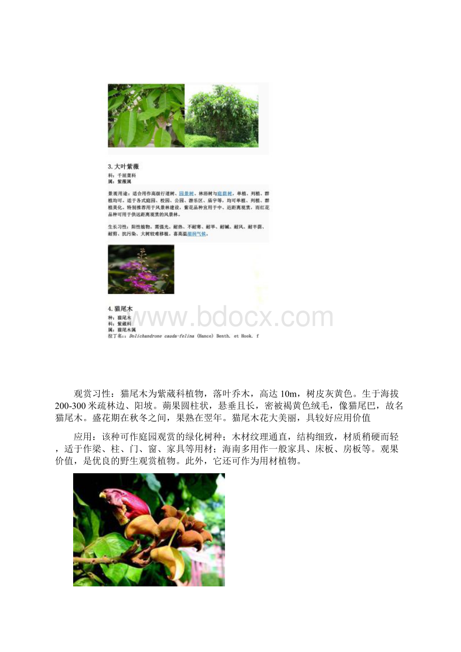 常见园林植物100种.docx_第2页