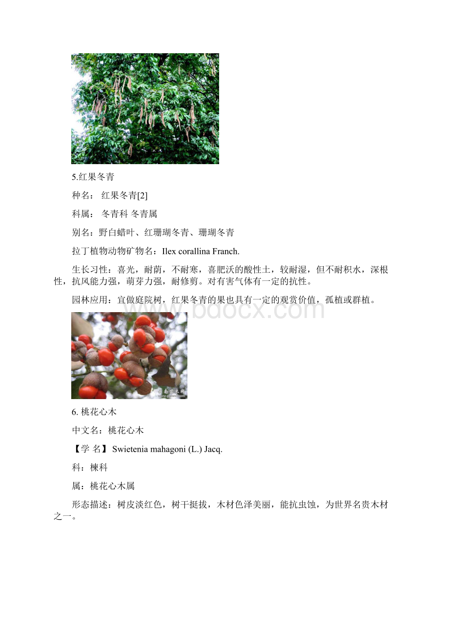 常见园林植物100种.docx_第3页