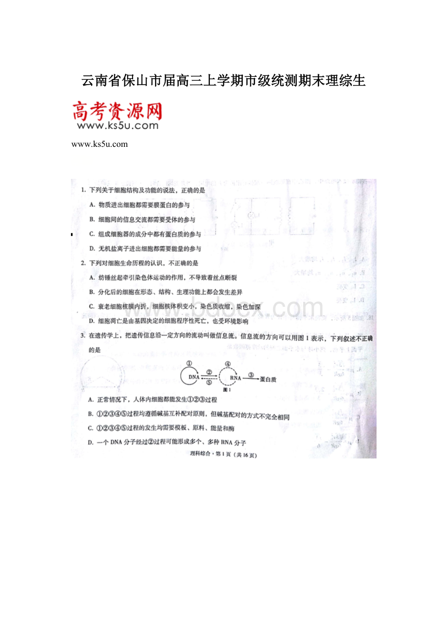 云南省保山市届高三上学期市级统测期末理综生.docx_第1页