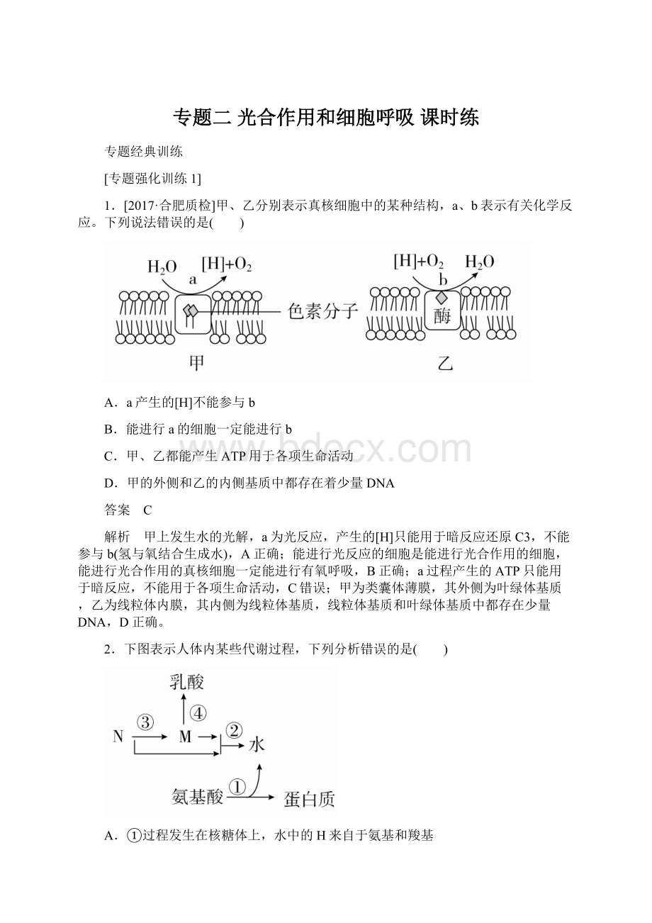 专题二 光合作用和细胞呼吸 课时练.docx_第1页