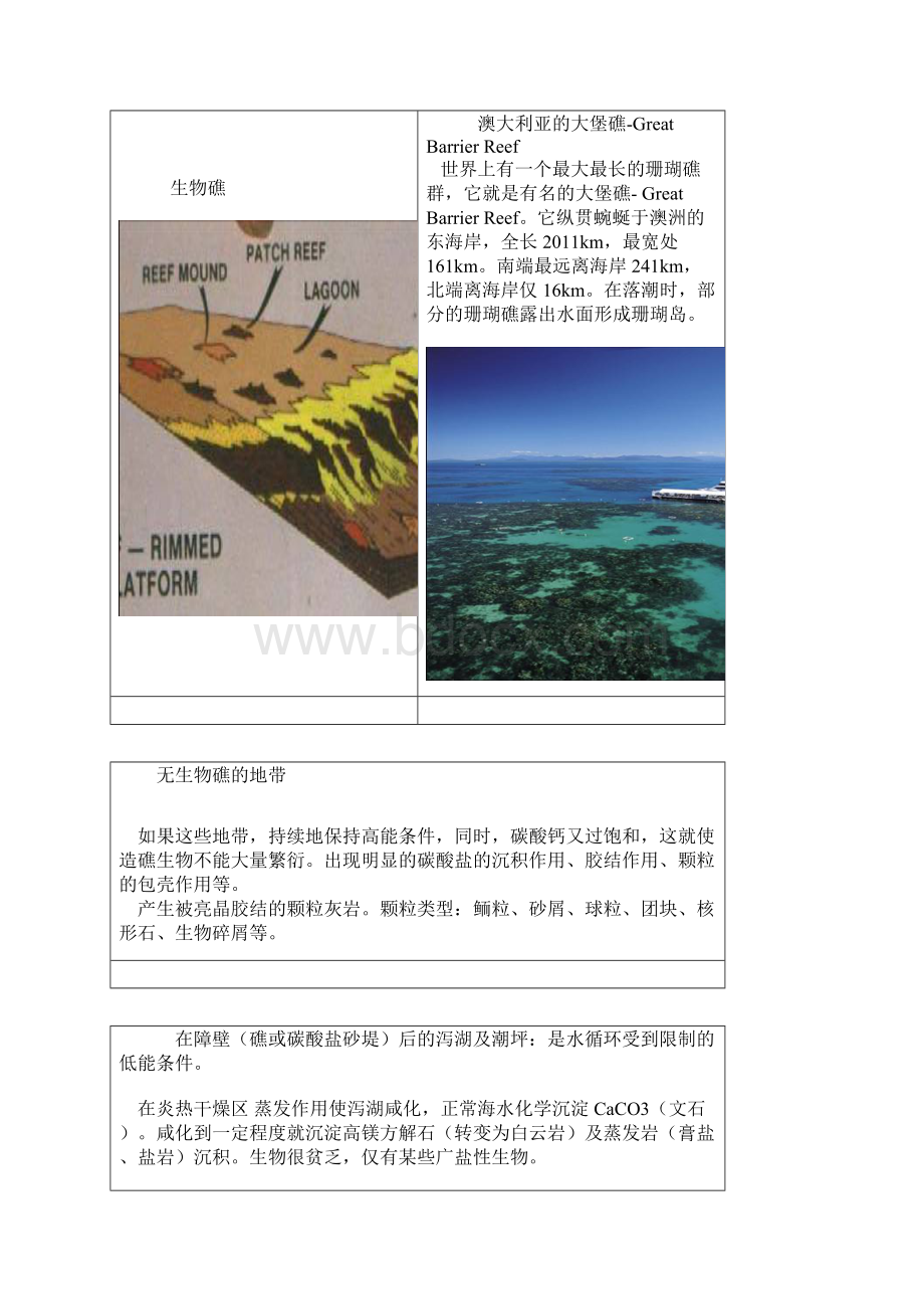 海洋碳酸盐沉积环境.docx_第3页