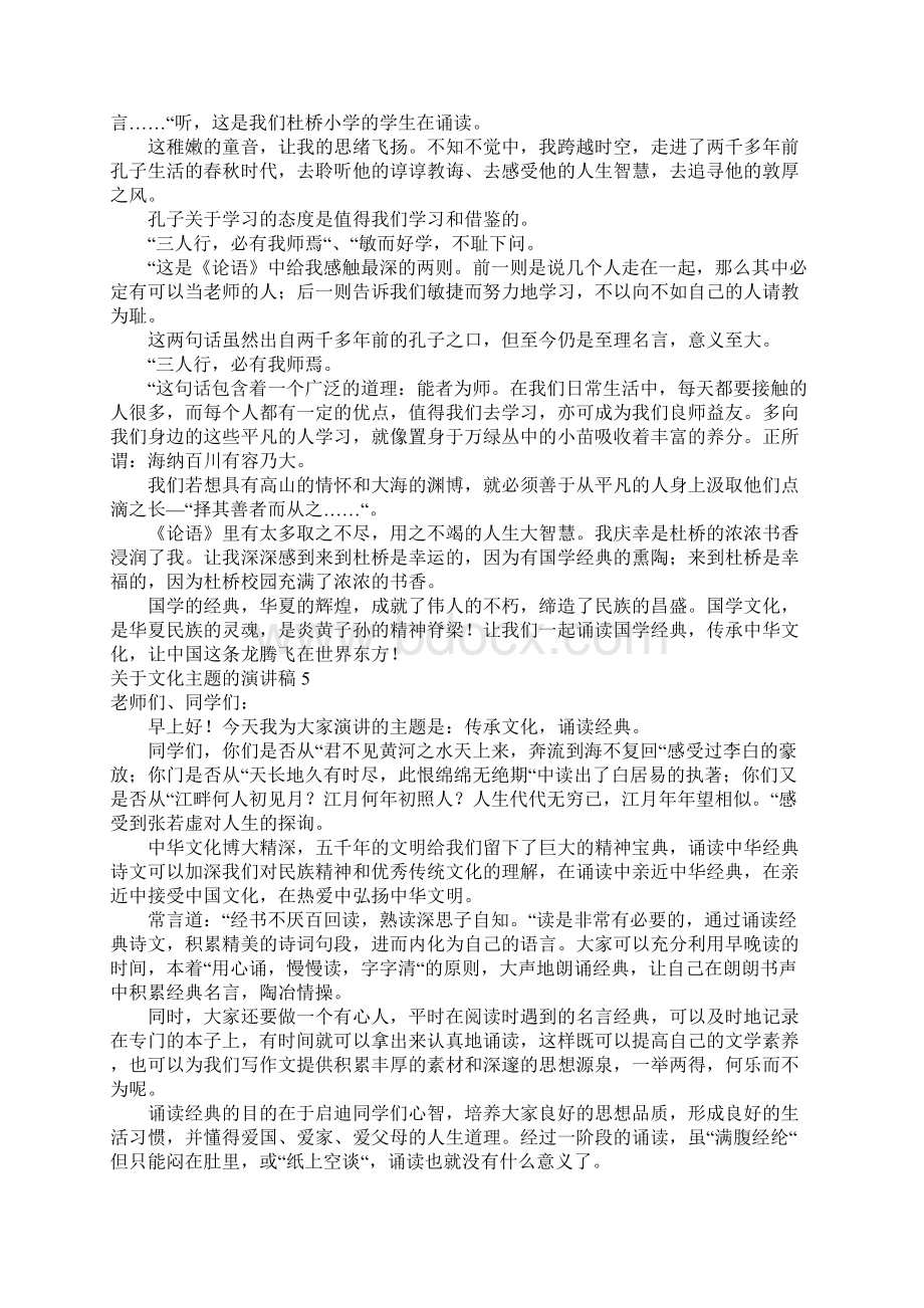 关于文化主题的演讲稿文档格式.docx_第3页