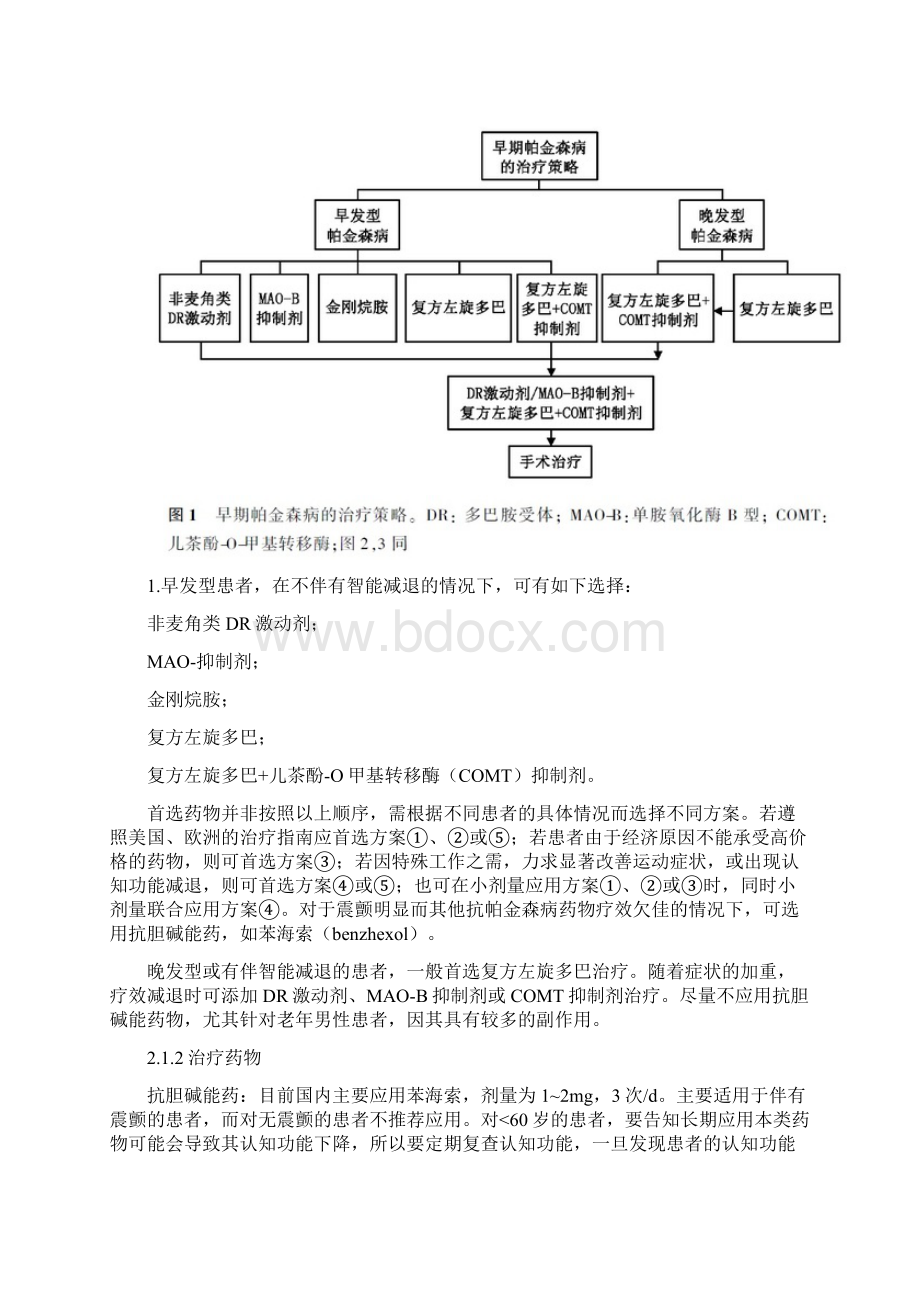 帕金森病治疗指南Word下载.docx_第3页