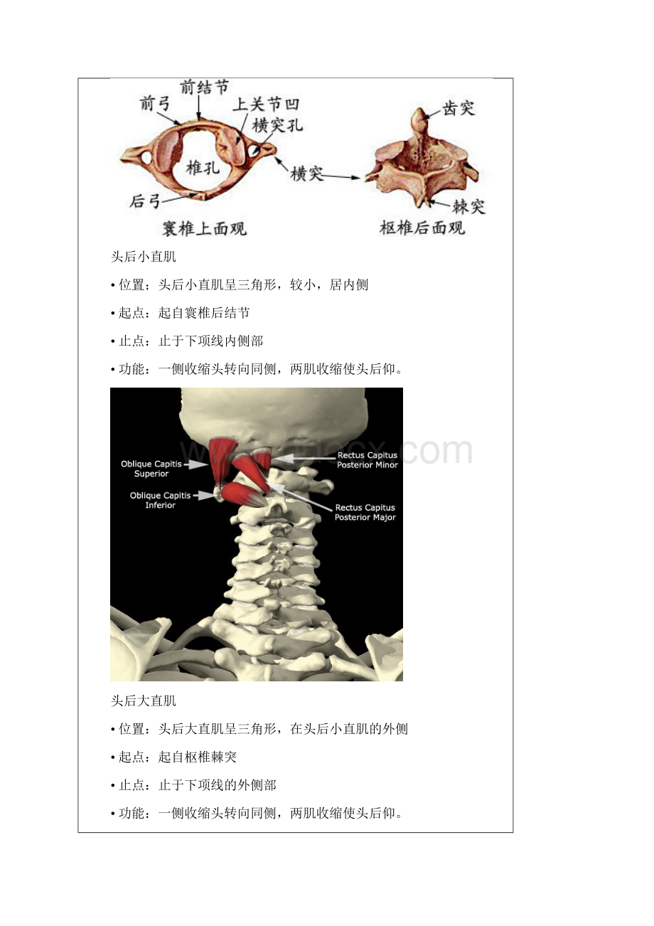 赛普健身教练培训学院运动康复课程Word下载.docx_第2页