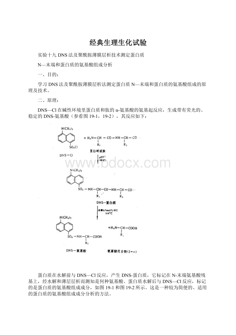 经典生理生化试验.docx