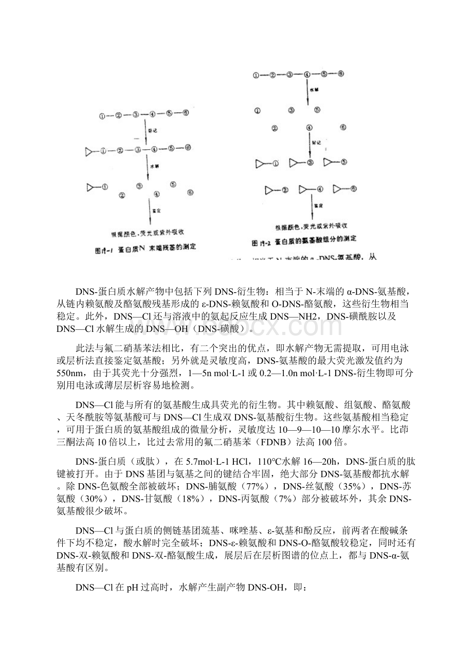 经典生理生化试验.docx_第2页