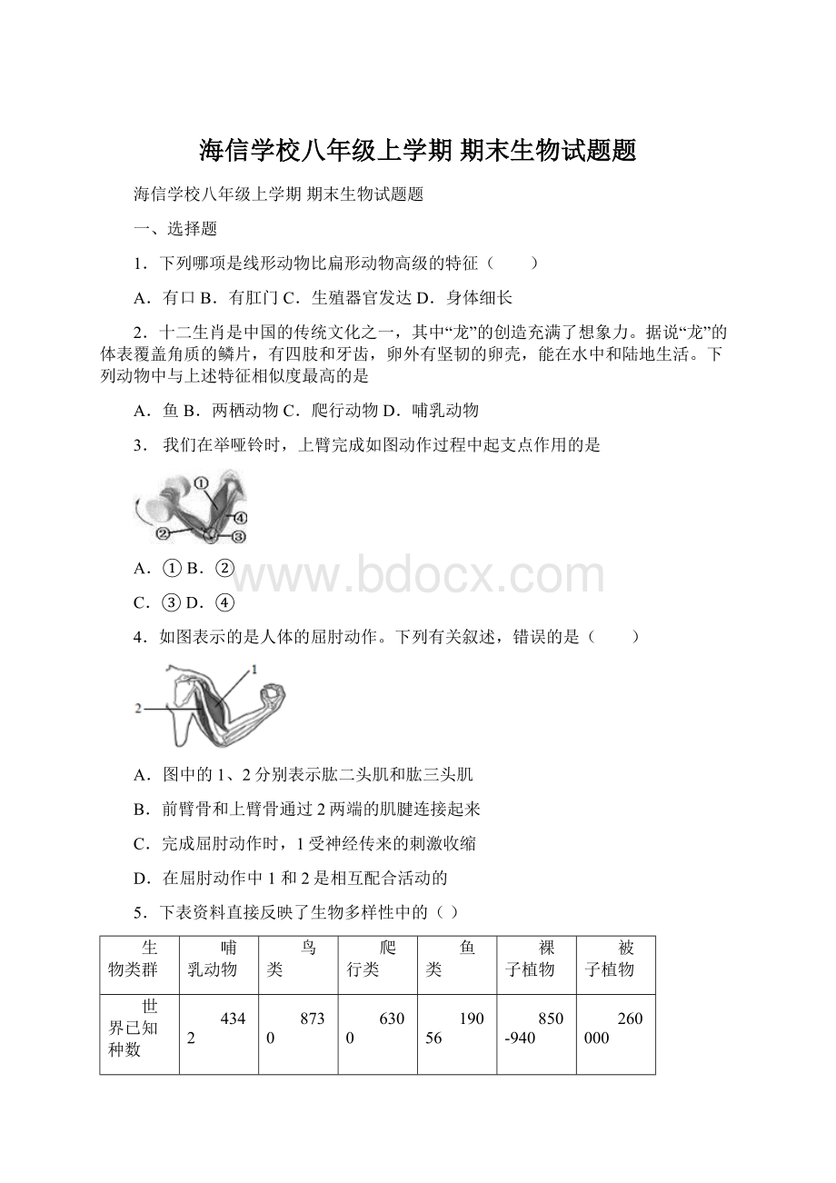 海信学校八年级上学期 期末生物试题题.docx