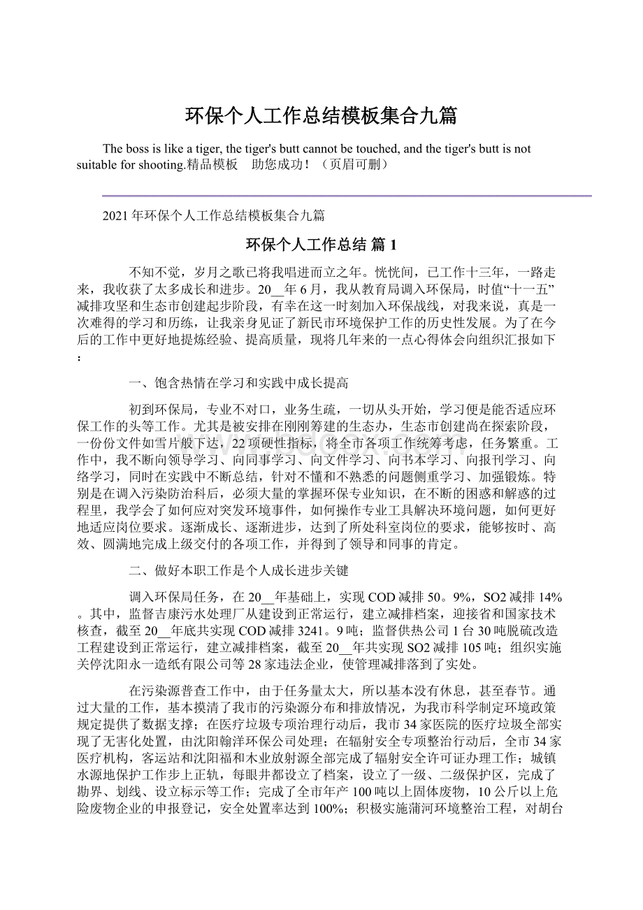 环保个人工作总结模板集合九篇.docx_第1页