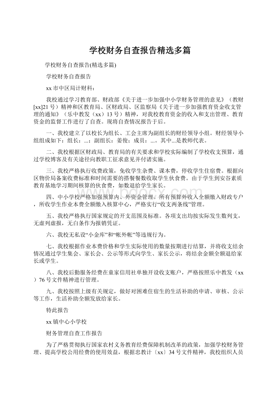 学校财务自查报告精选多篇.docx