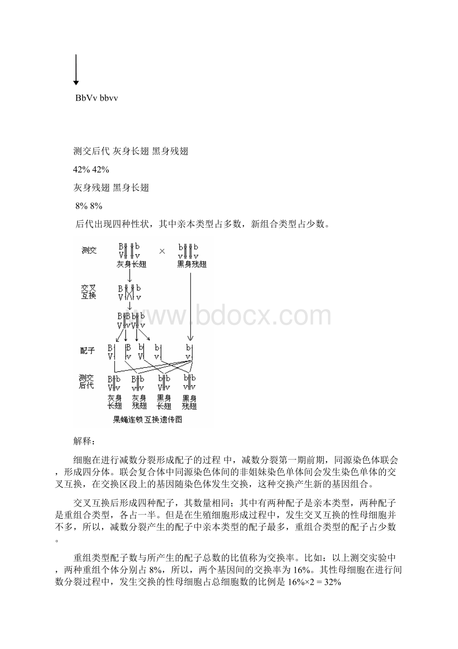 基因的连锁与互换定律.docx_第3页