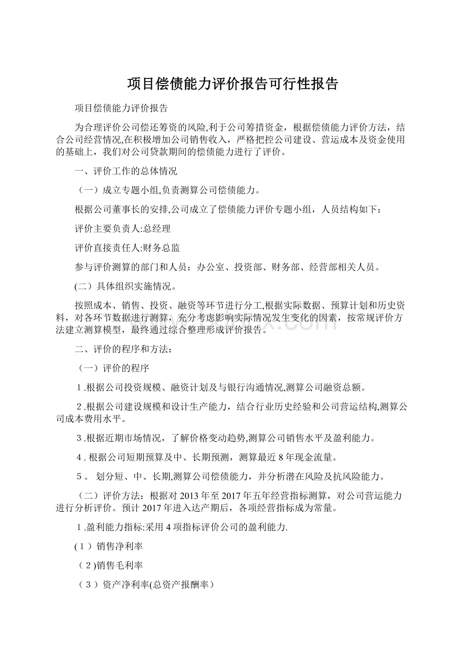 项目偿债能力评价报告可行性报告.docx