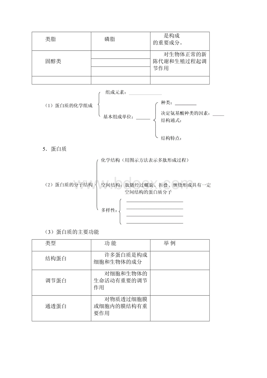 最新高考生物总复习第1讲生命的物质基础.docx_第3页