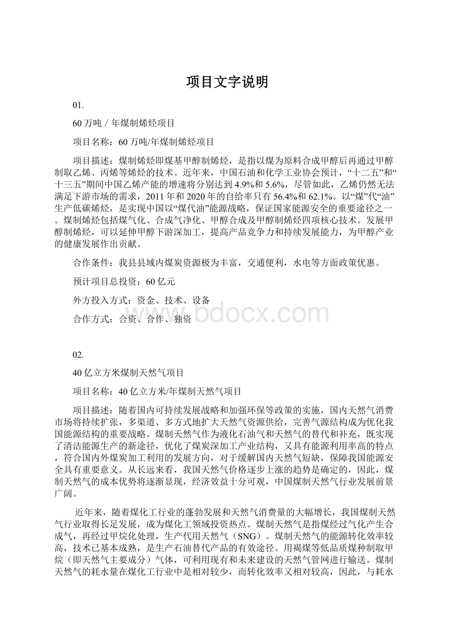 项目文字说明Word格式文档下载.docx