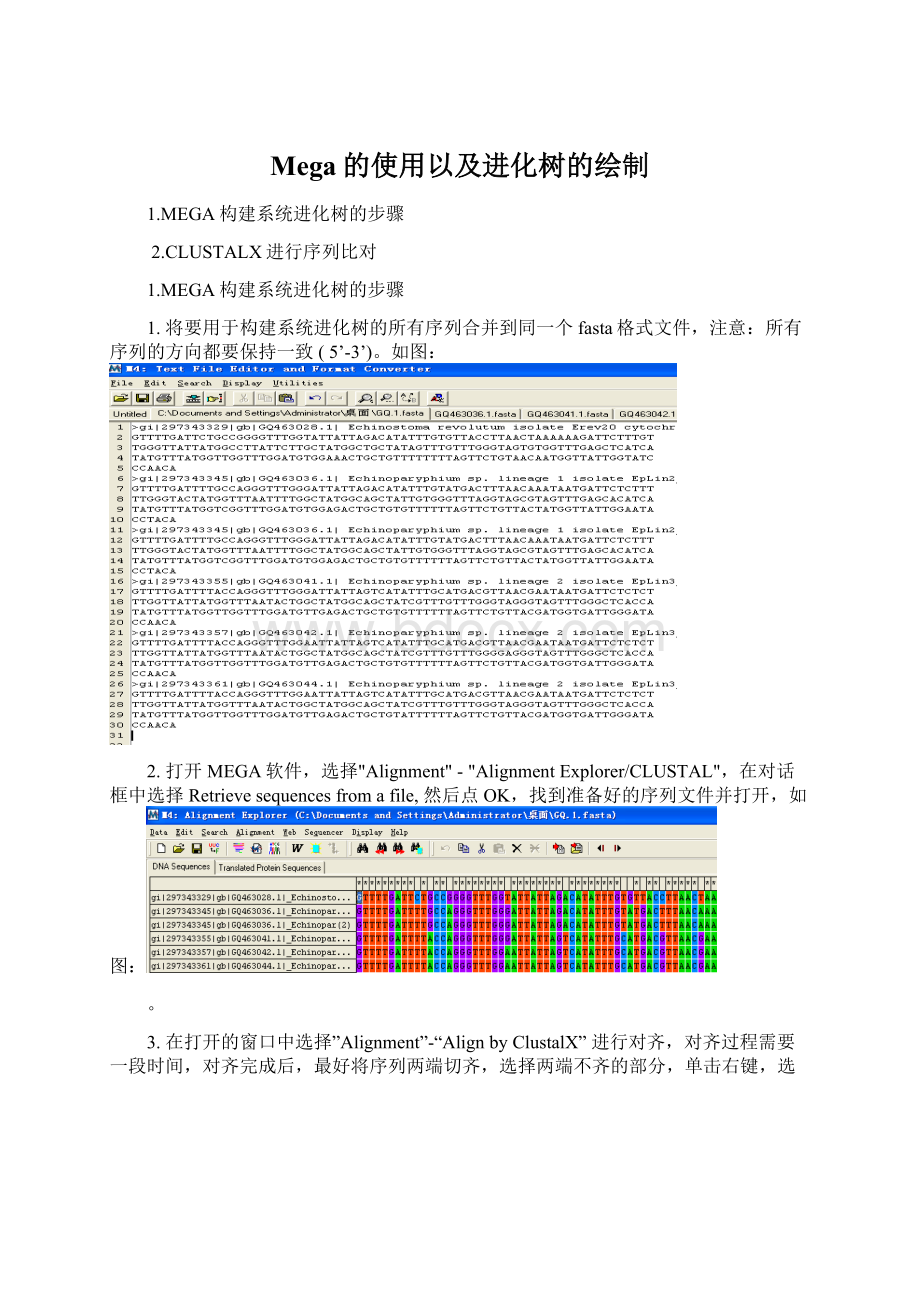 Mega的使用以及进化树的绘制.docx