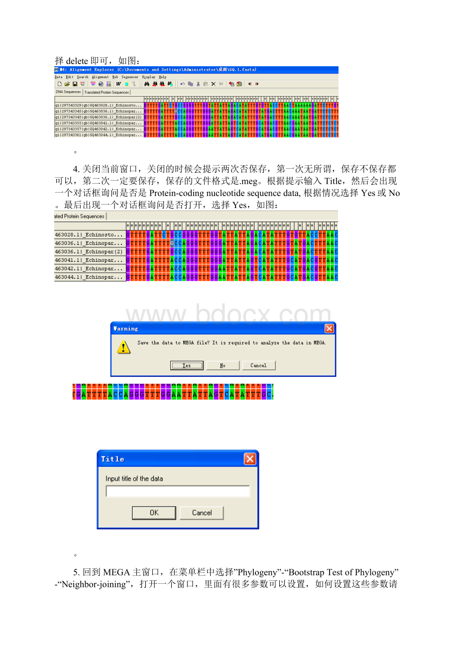 Mega的使用以及进化树的绘制.docx_第2页