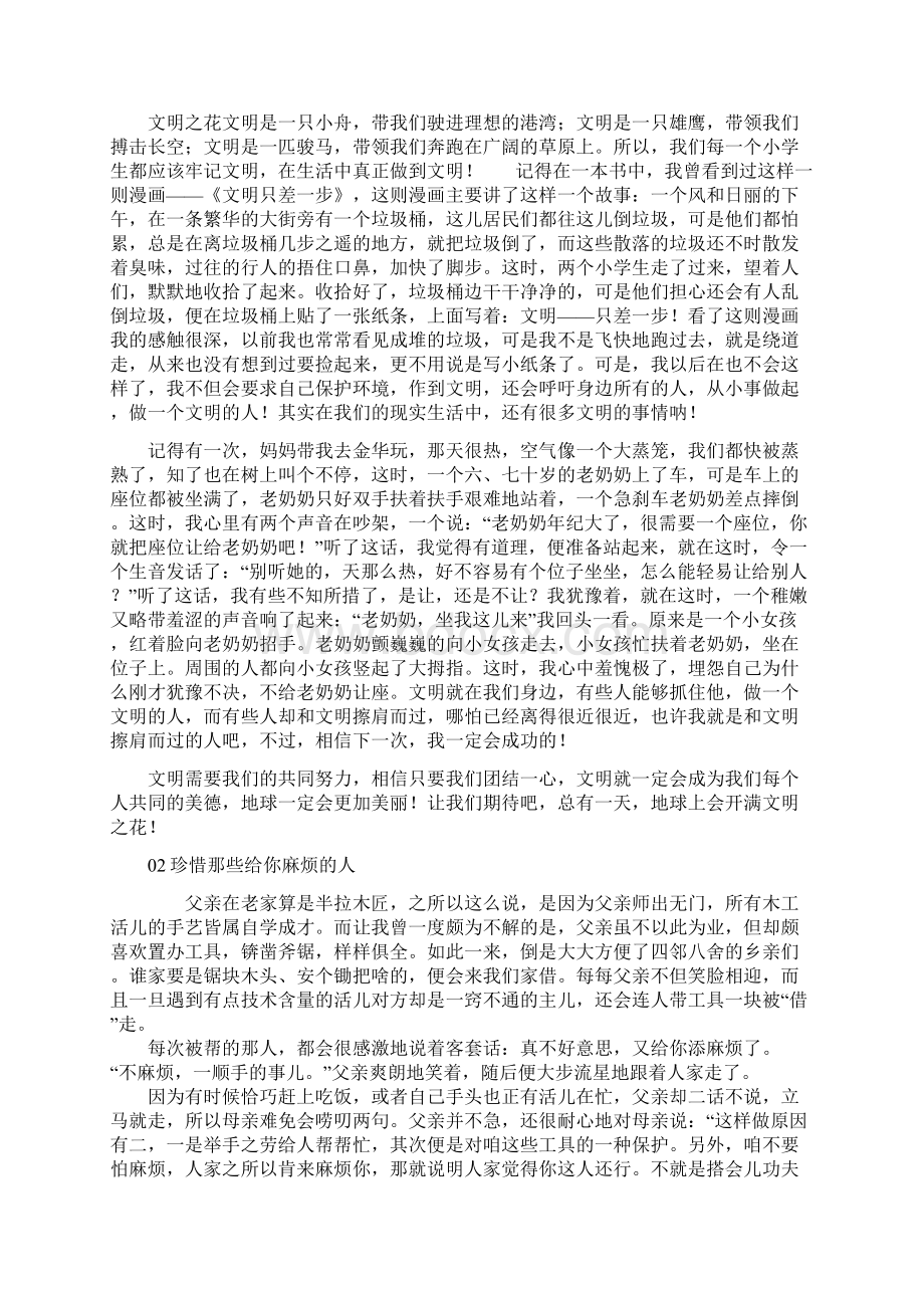 杭州市中考作文题目及满分作文麻烦或不麻烦.docx_第2页