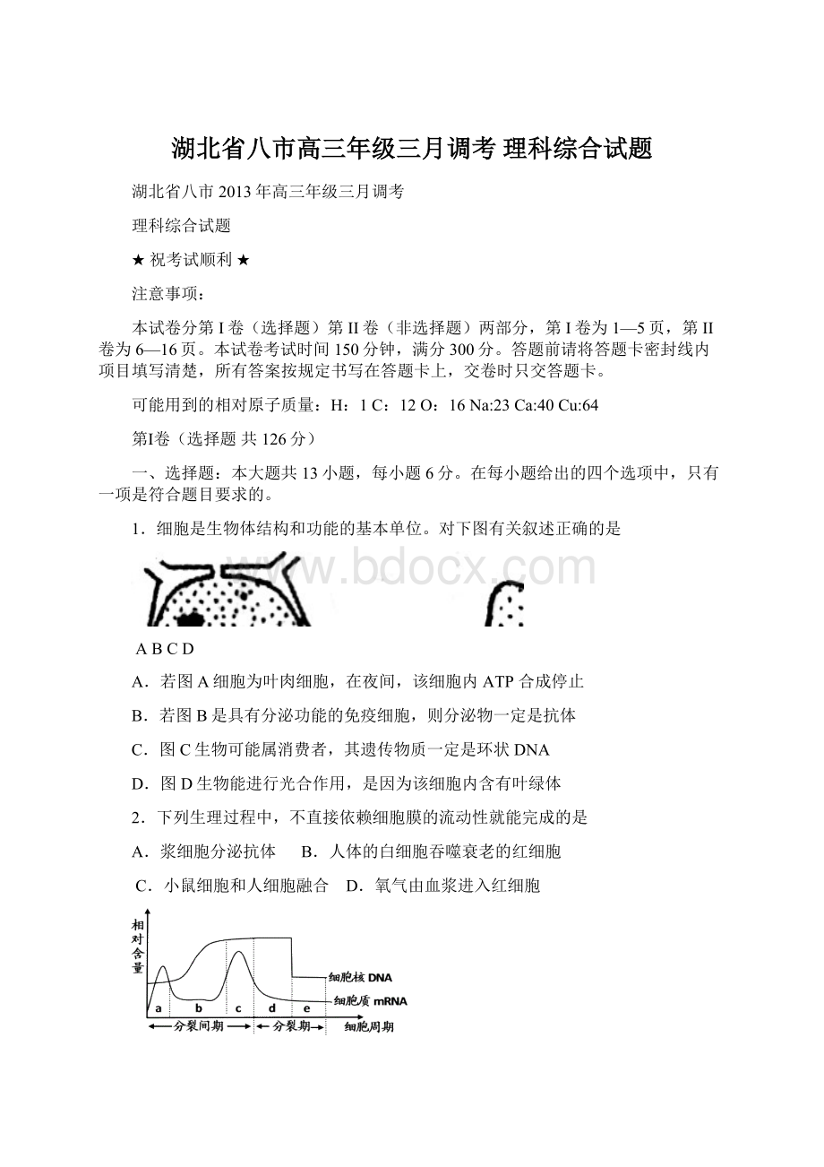 湖北省八市高三年级三月调考 理科综合试题Word文件下载.docx_第1页