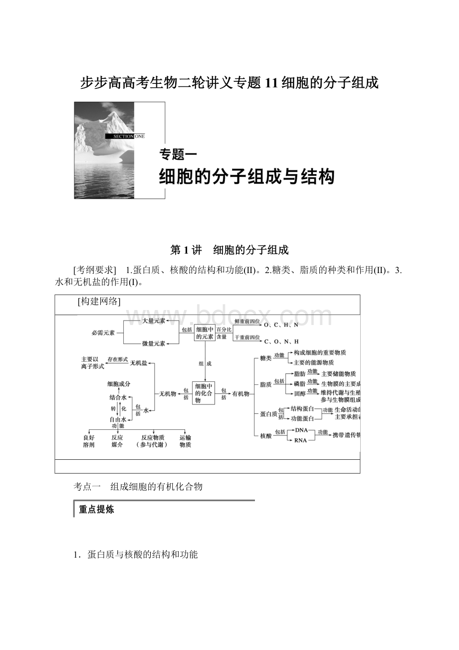 步步高高考生物二轮讲义专题11细胞的分子组成.docx