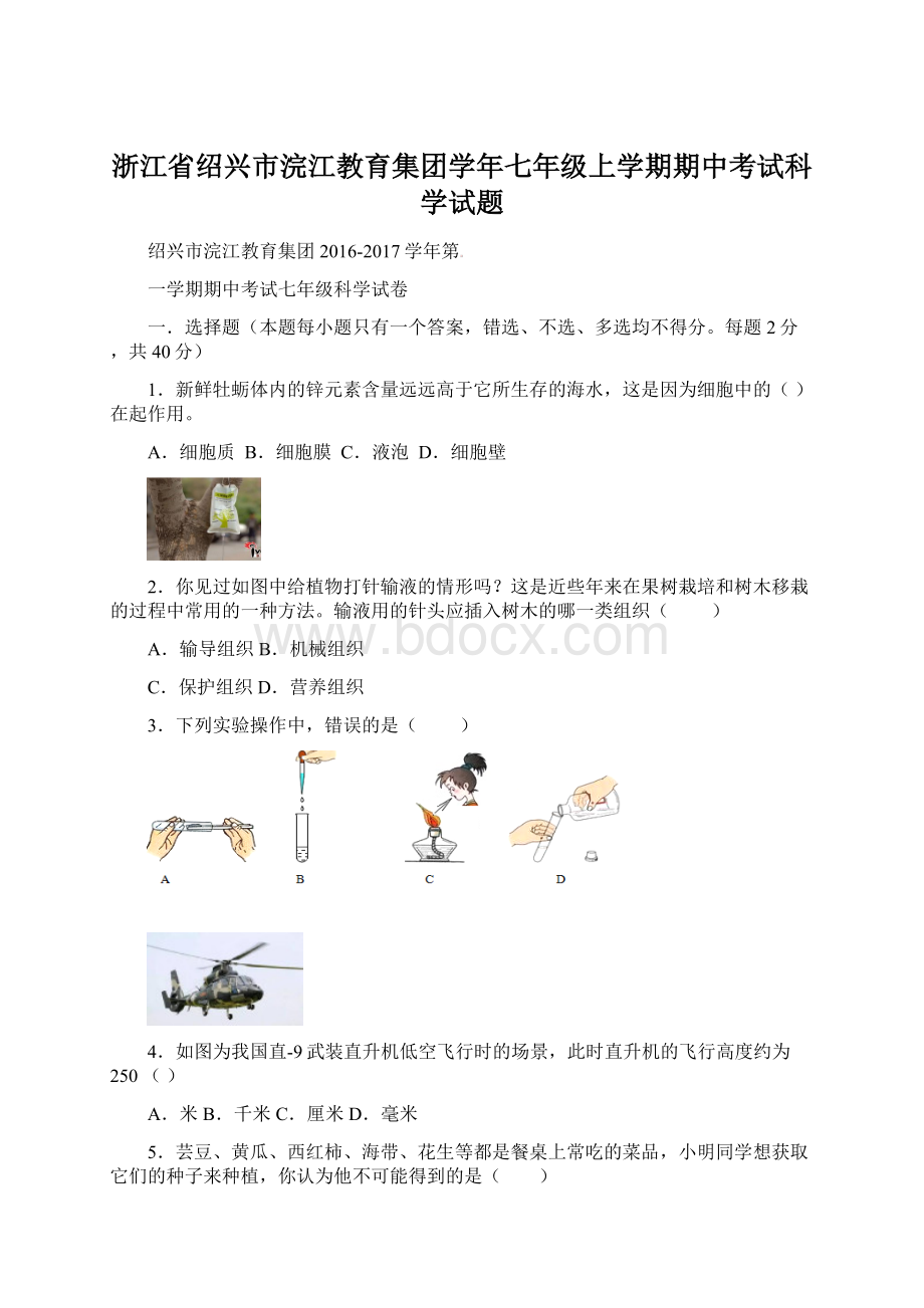 浙江省绍兴市浣江教育集团学年七年级上学期期中考试科学试题.docx_第1页