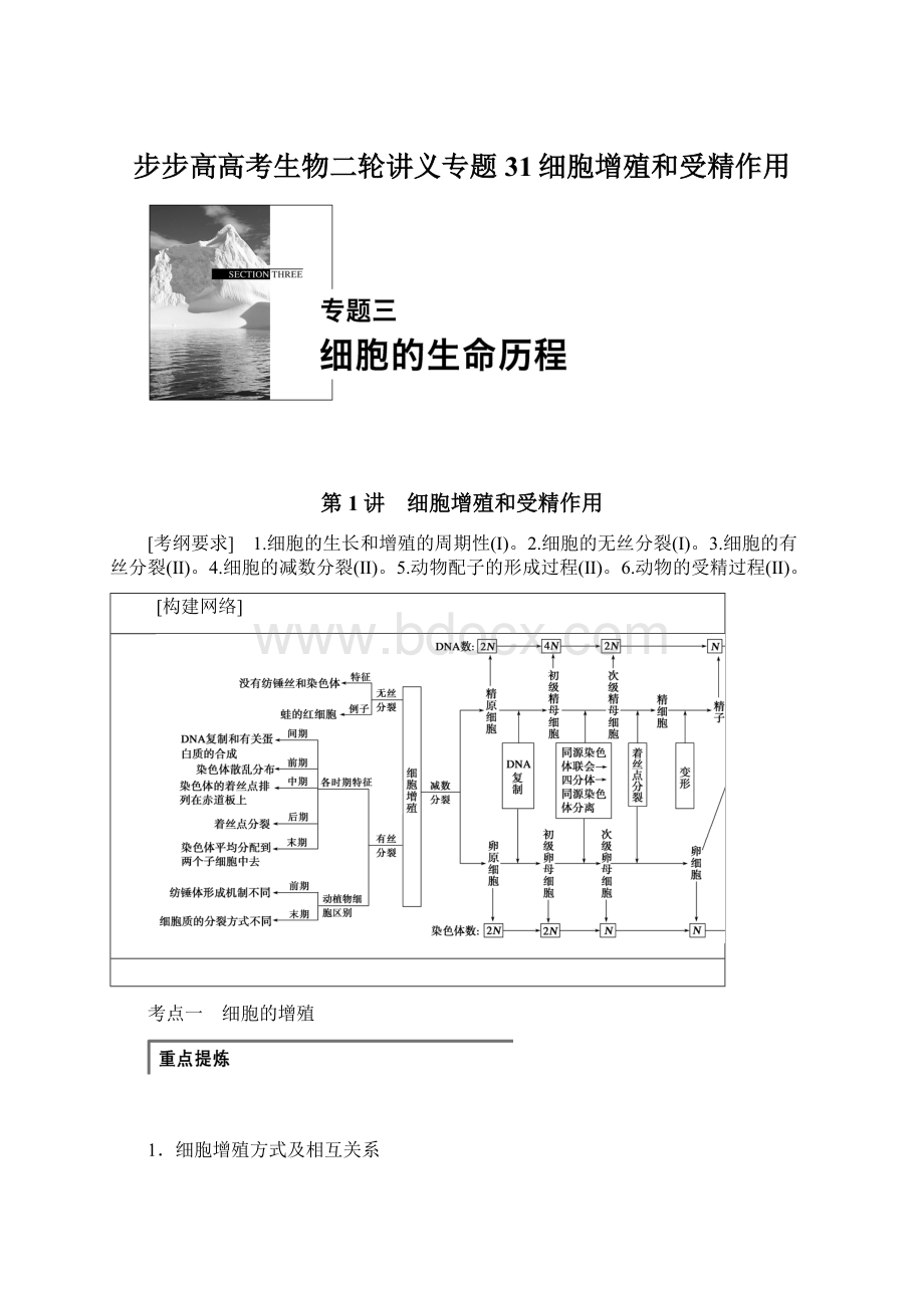 步步高高考生物二轮讲义专题31细胞增殖和受精作用Word文件下载.docx