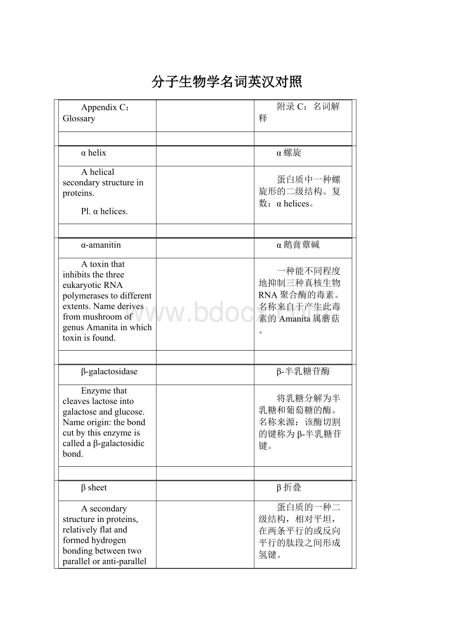 分子生物学名词英汉对照文档格式.docx