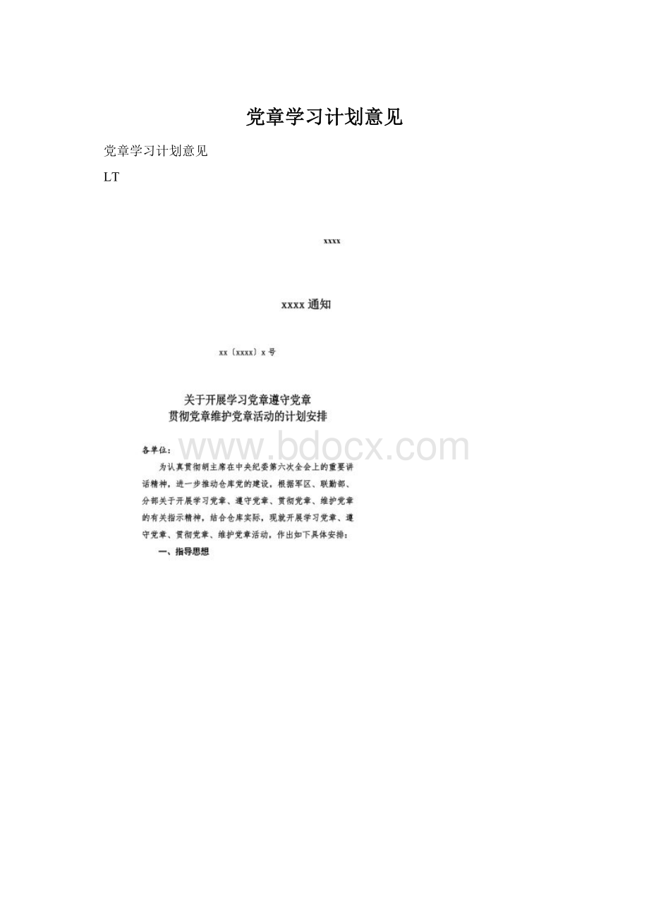 党章学习计划意见Word文档格式.docx