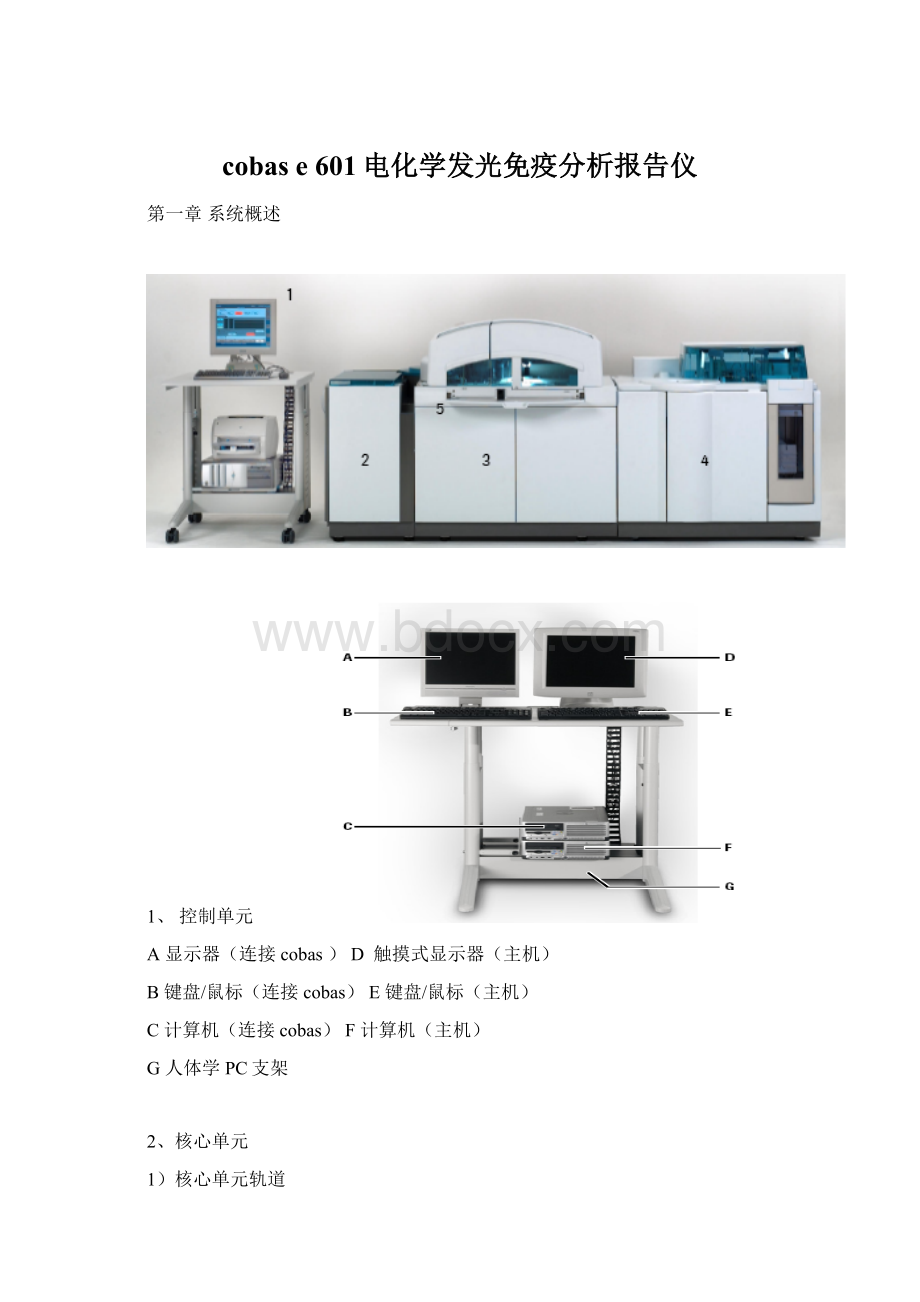 cobas e 601电化学发光免疫分析报告仪文档格式.docx_第1页