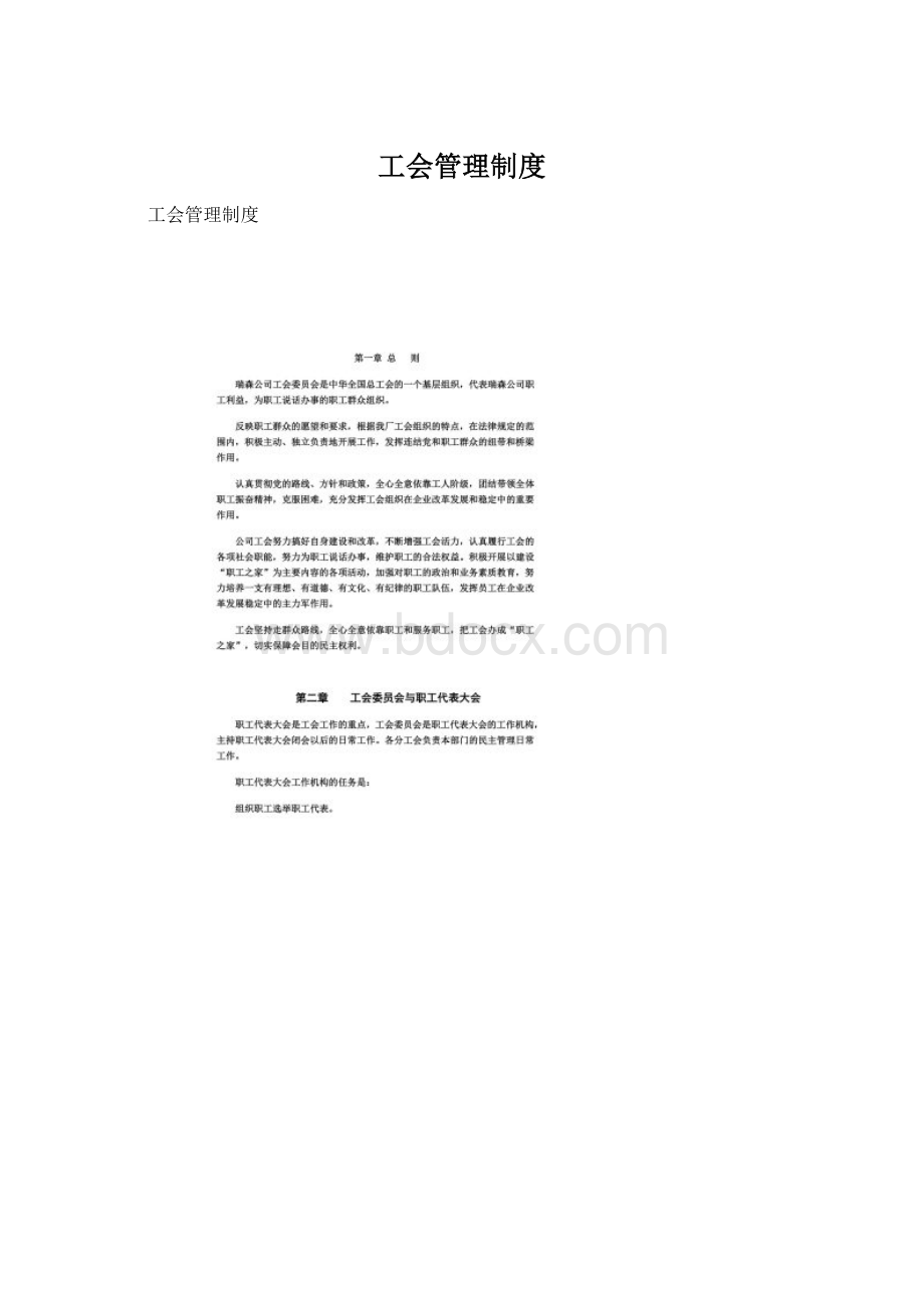 工会管理制度Word文档下载推荐.docx_第1页