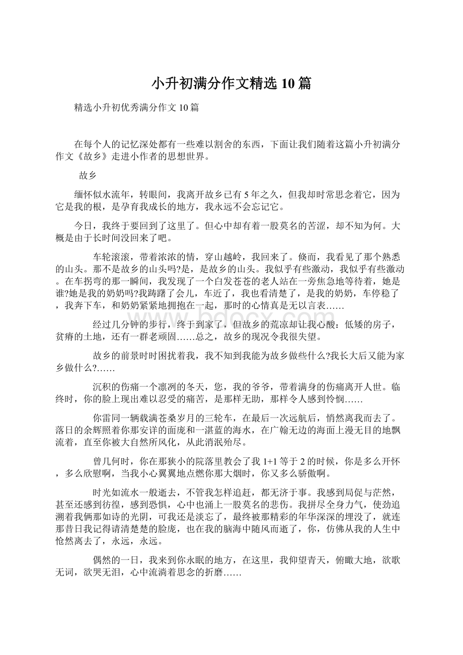 小升初满分作文精选10篇文档格式.docx_第1页