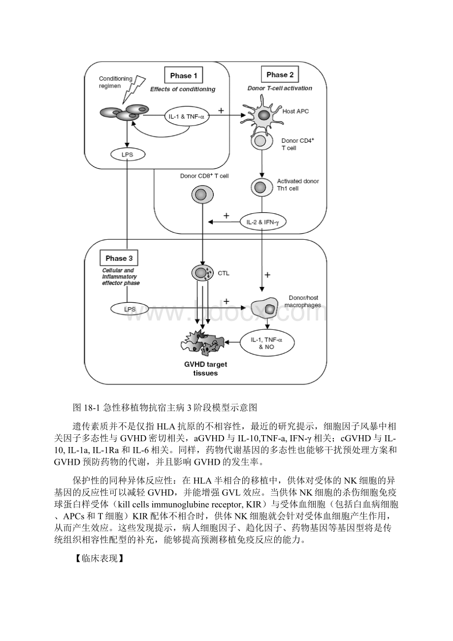 移植物抗宿主病Word格式.docx_第3页